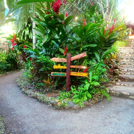 El Hotelito Perdido Izabal Exteriér fotografie
